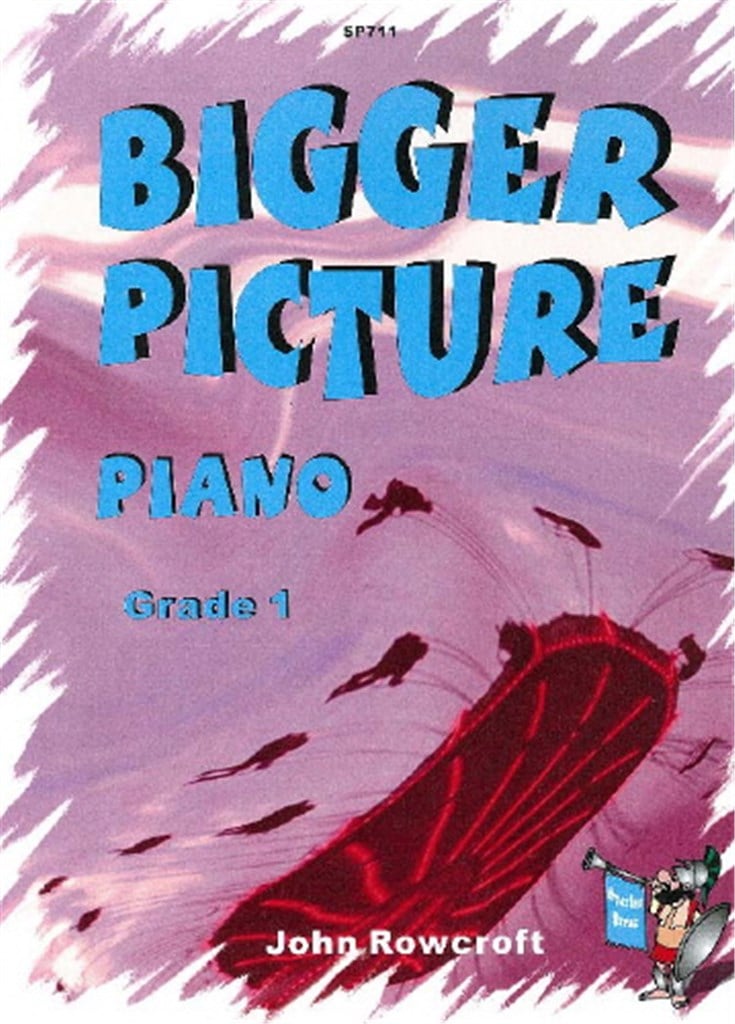 Bigger Picture (Grade 1)